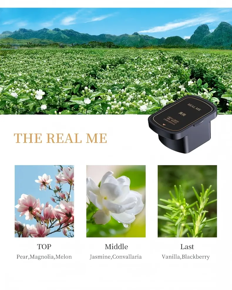 Car Fragrance Diffuser Car Fragrance Diffuser
