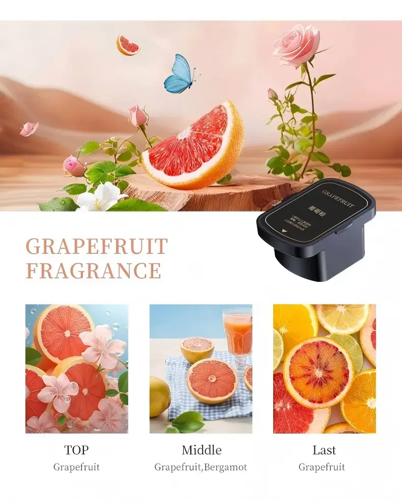 Vehicle Fragrance Diffuser Vehicle Fragrance Diffuser